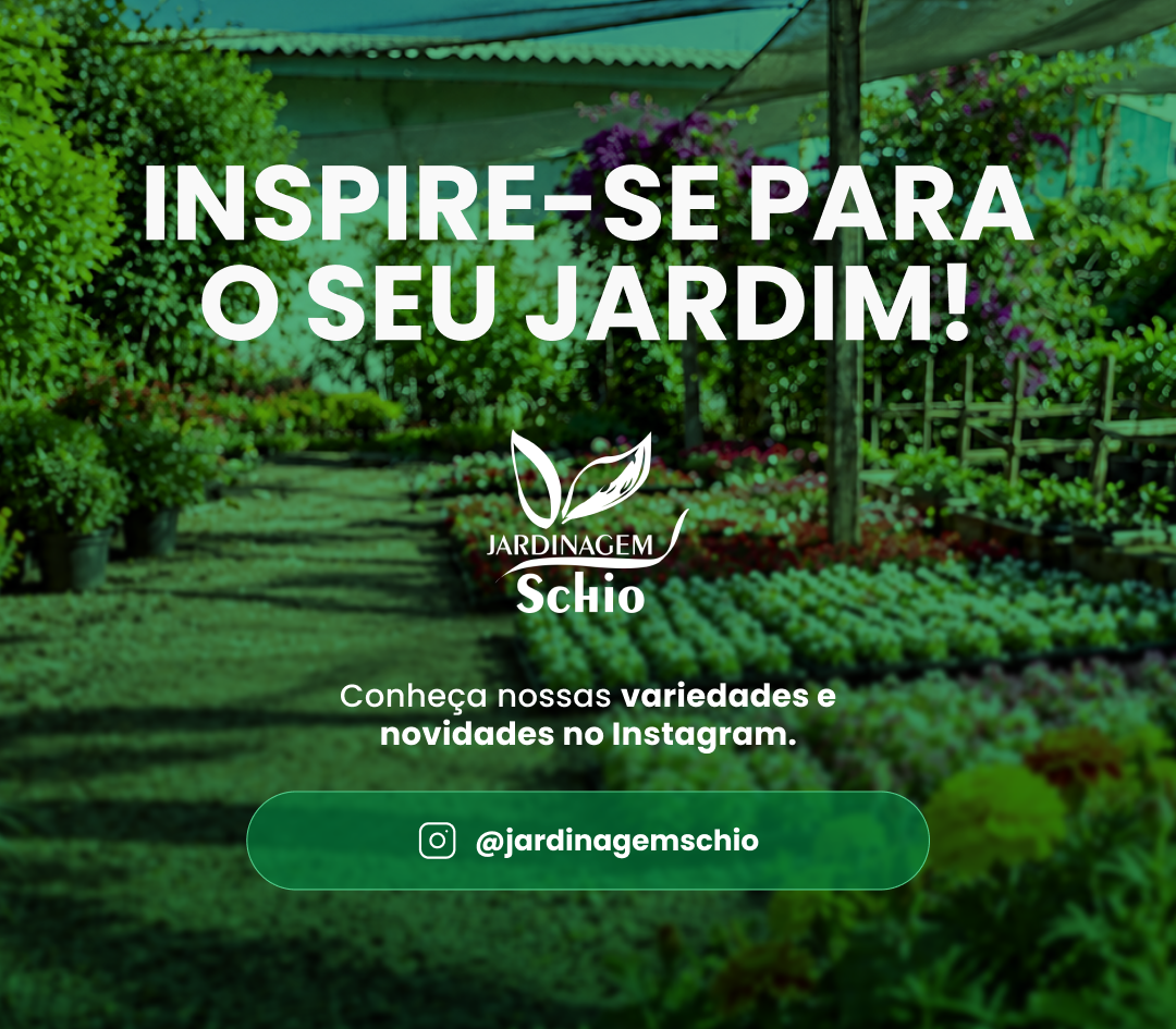Perfil da Jardinagem Schio no Instagram